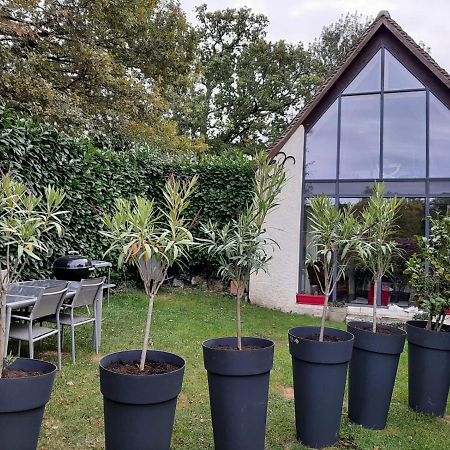 Gite Des Chateaux De La Loire 维朗德里 外观 照片