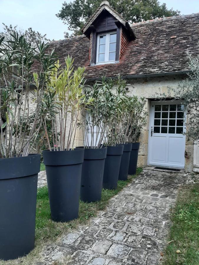 Gite Des Chateaux De La Loire 维朗德里 外观 照片