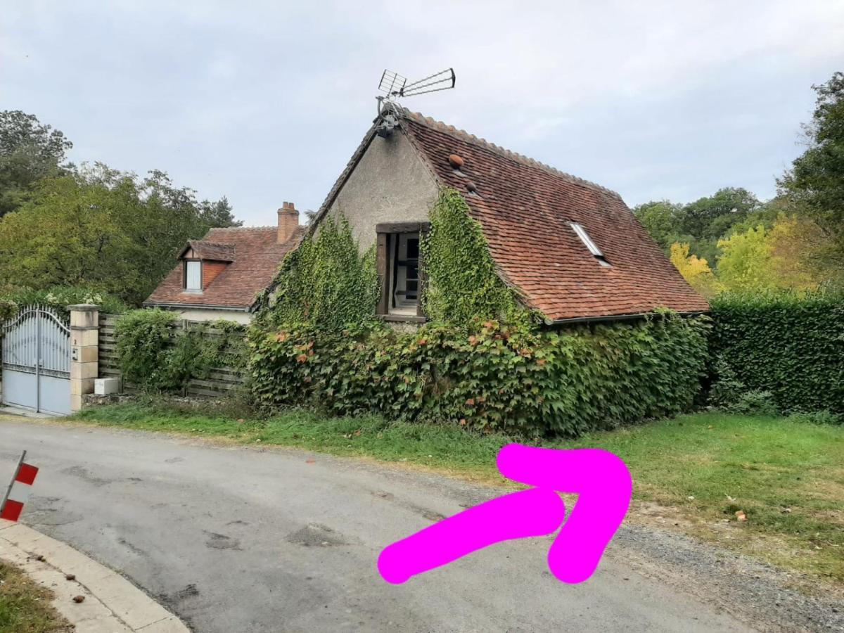 Gite Des Chateaux De La Loire 维朗德里 外观 照片